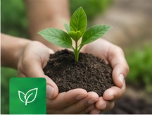 Gestión ambiental